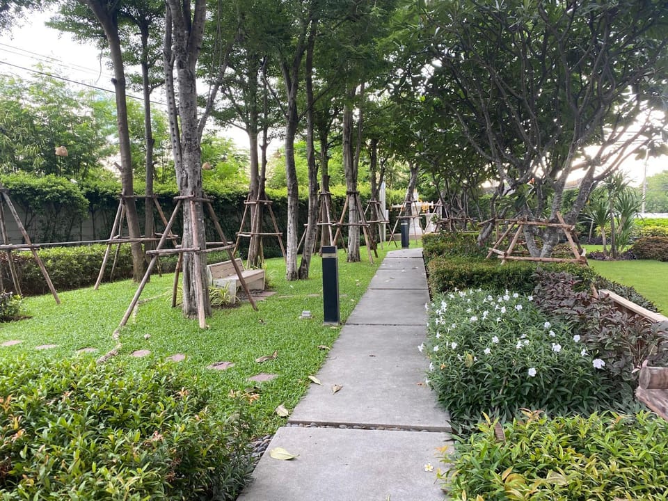 Garden view