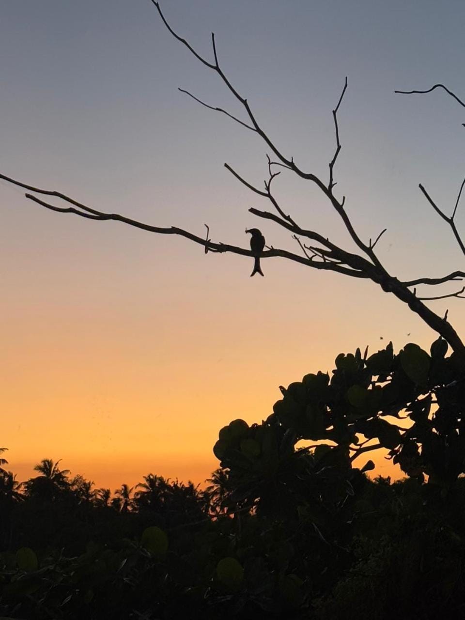 Natural landscape, Sunset