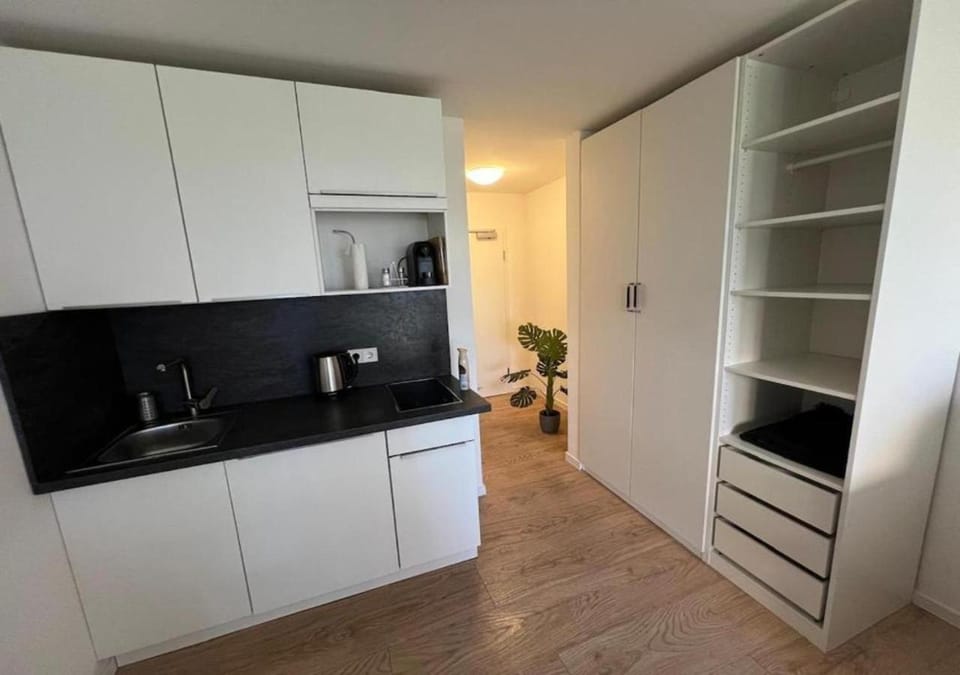 Kitchen or kitchenette, furniture, wardrobe