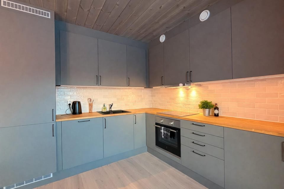 Kitchen or kitchenette, dishwasher, stove