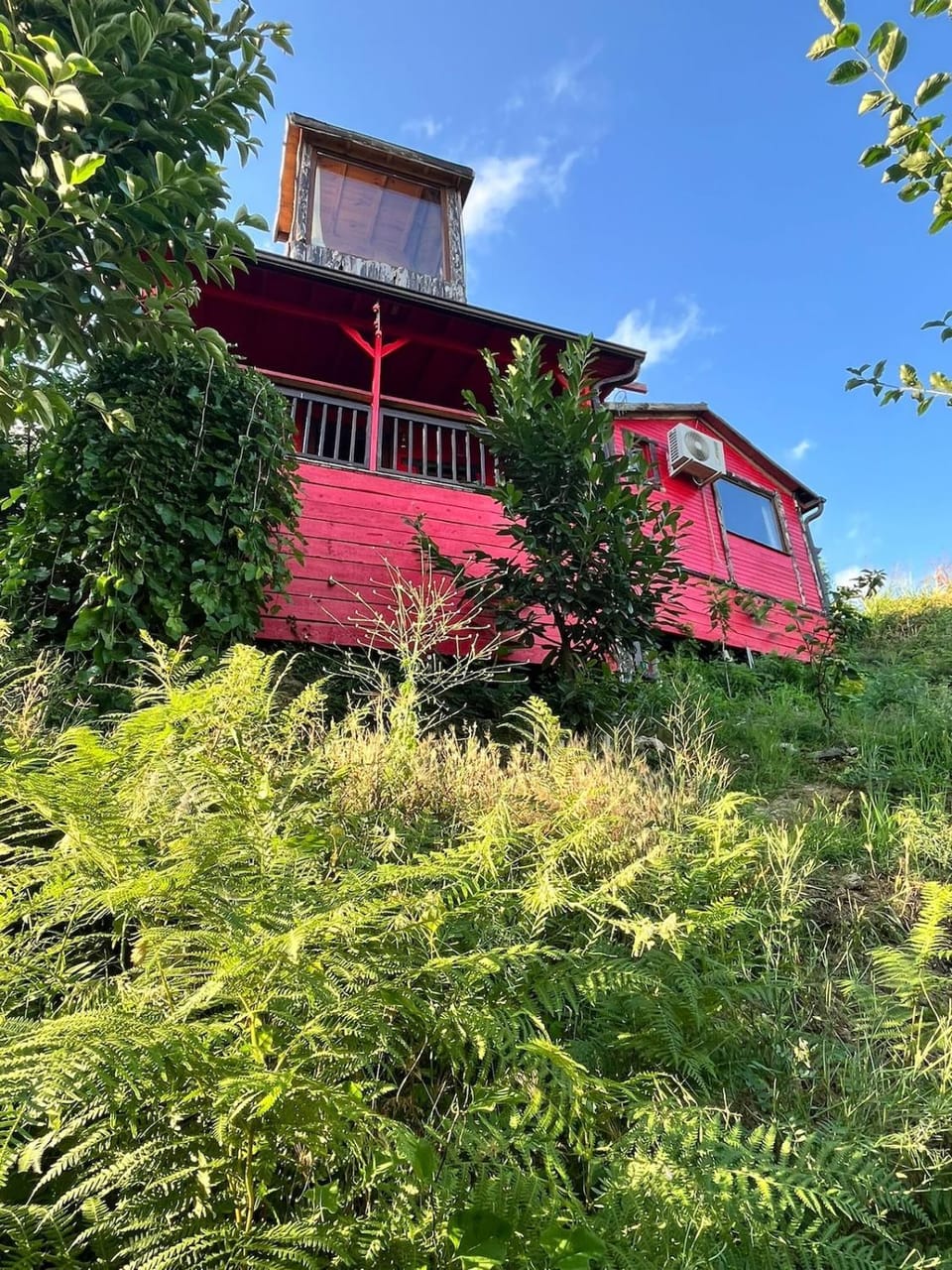 Sapanca Red Hobbit House House in Turkey