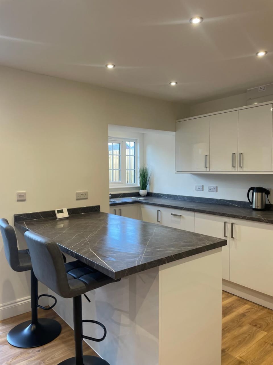 Kitchen or kitchenette, kitchen