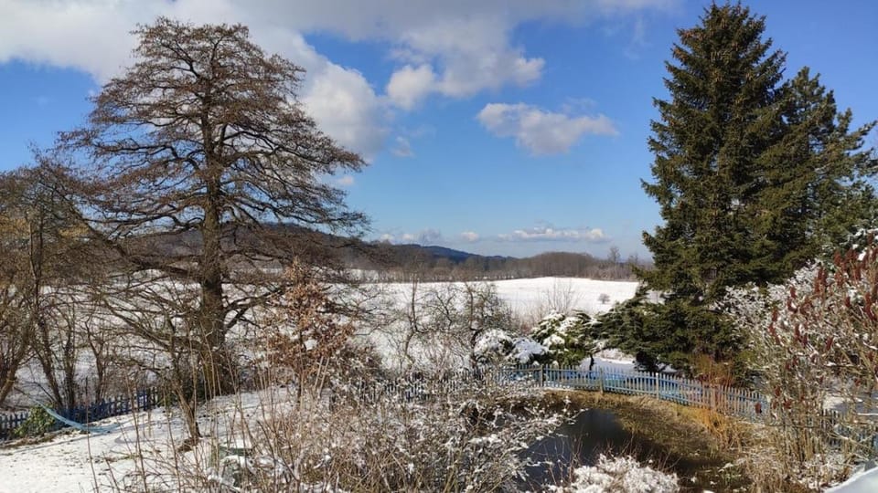 Roubenka u Monínce Villa in South Bohemian Region