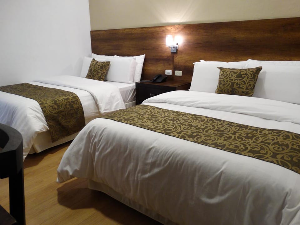 Siena Hotel Hotel in Cuenca