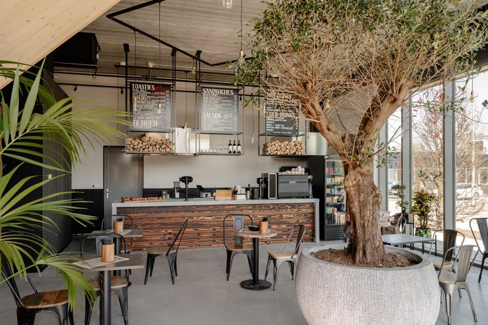 Restaurant/places to eat