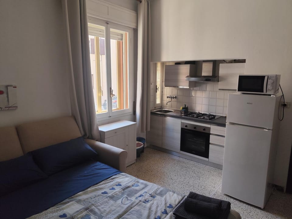 House Near Station - Bolognina - Villa Erbosa Apartment in Bologna