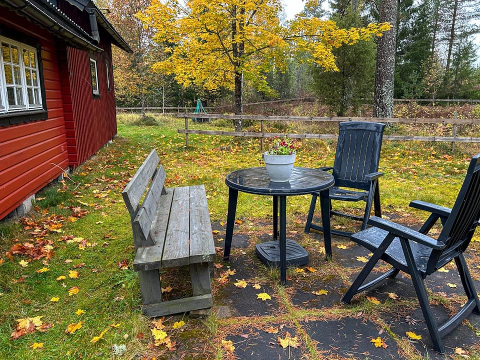 Day, Garden, Garden view