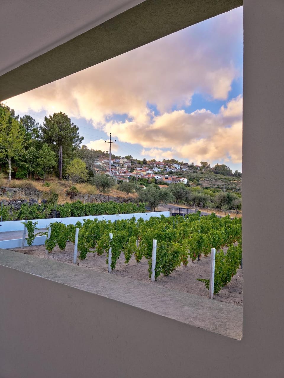Raposa Verde - Agroturismo Farm Stay in Vila Real District