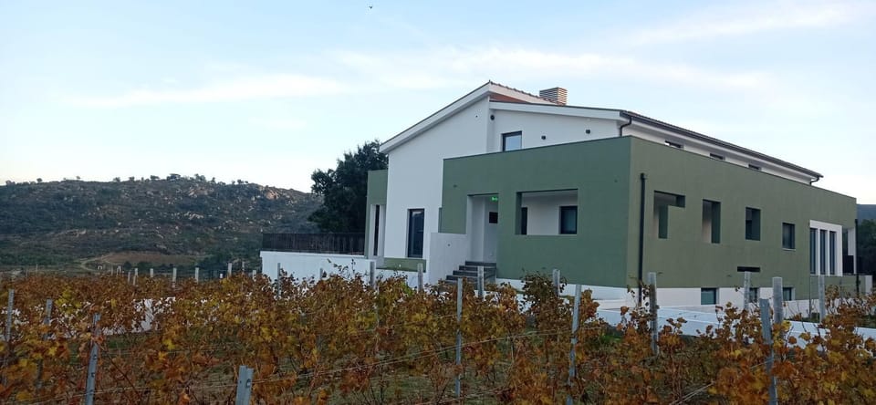 Raposa Verde - Agroturismo Farm Stay in Vila Real District
