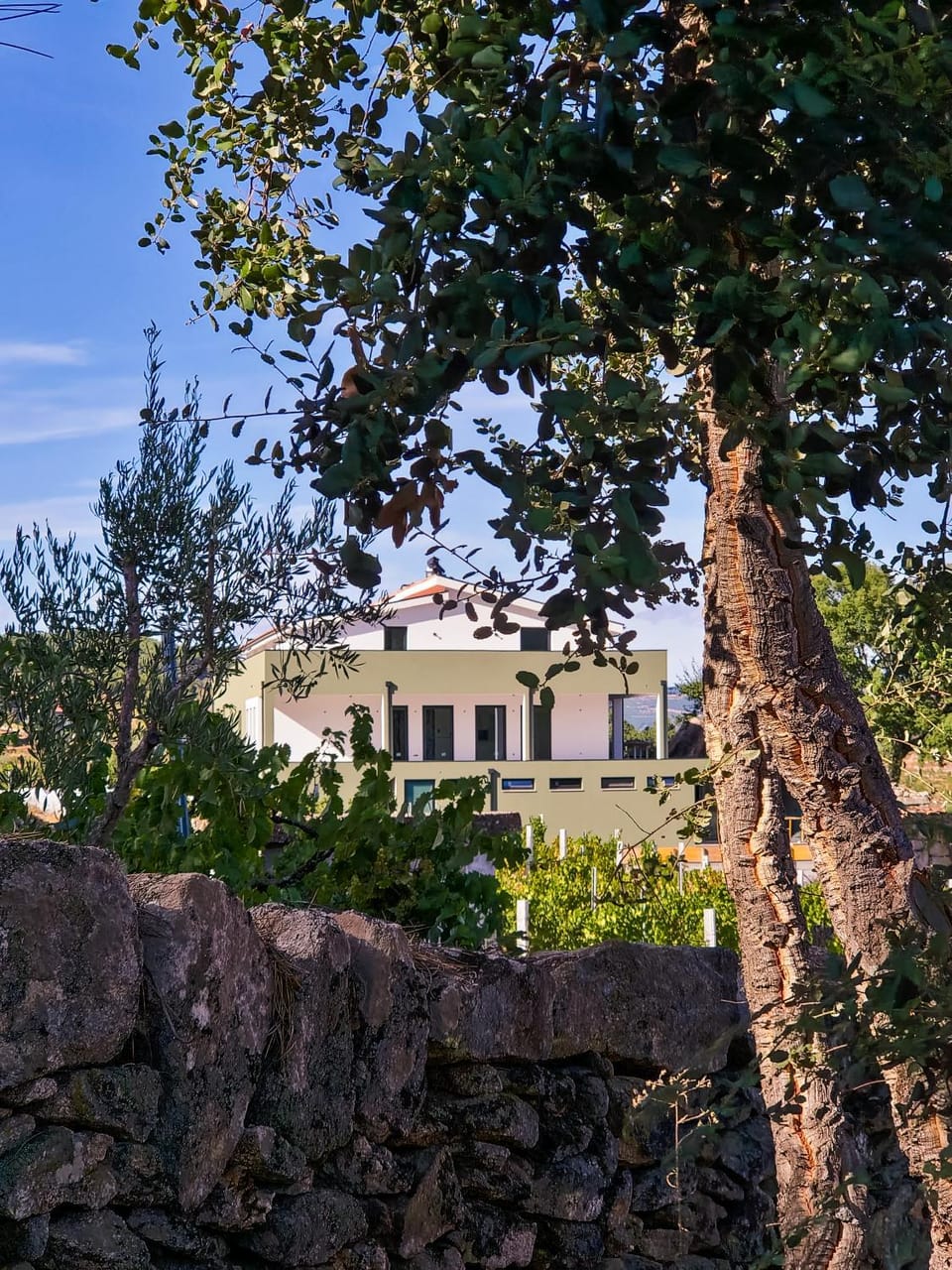 Raposa Verde - Agroturismo Farm Stay in Vila Real District