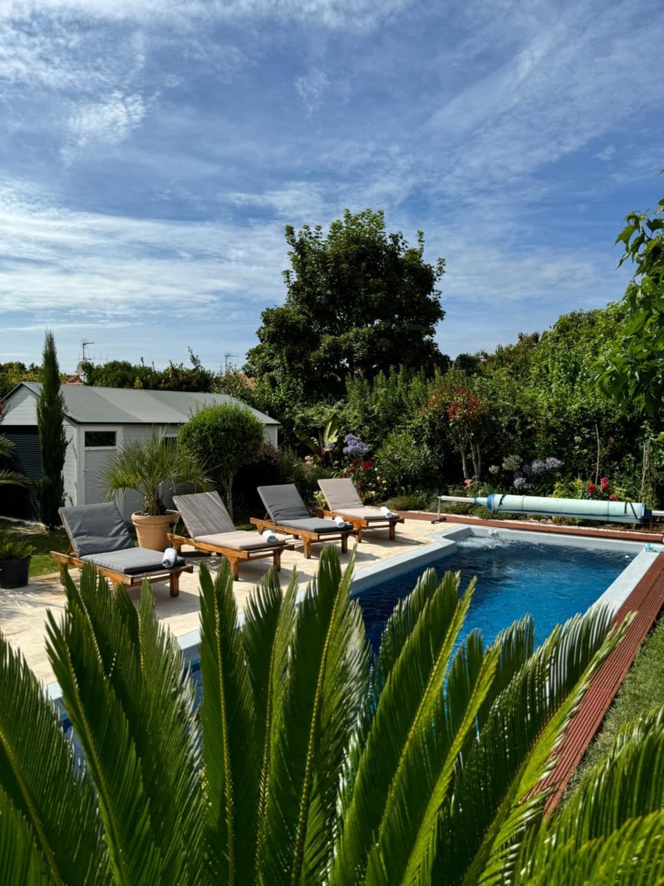 Pool view, Swimming pool