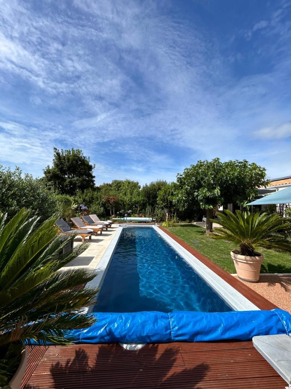 Swimming pool, Swimming pool