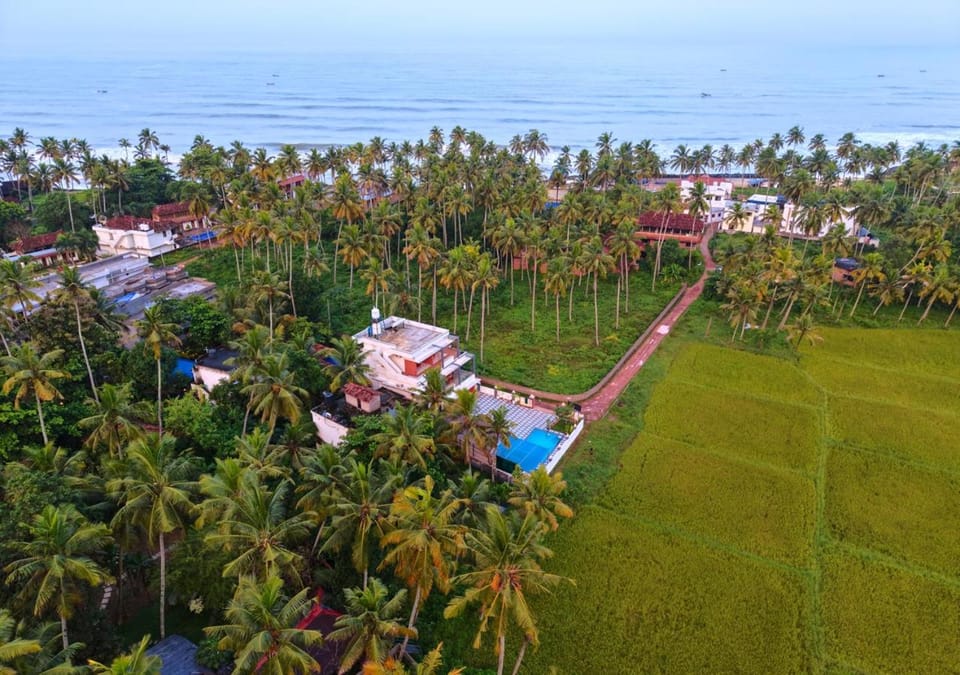 Natural landscape, Bird's eye view, Beach