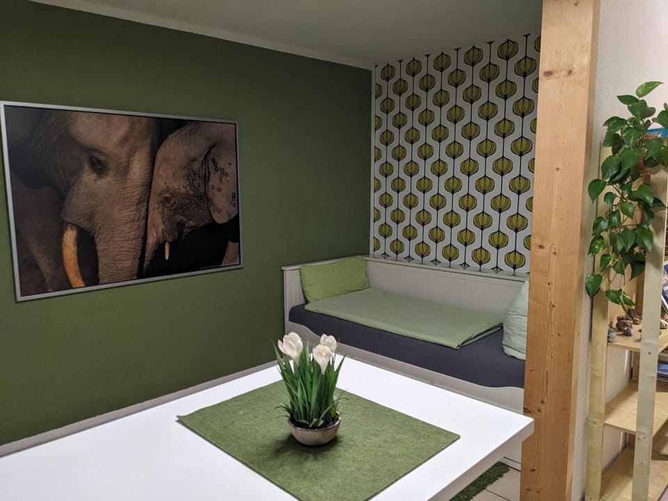 Bed, Photo of the whole room