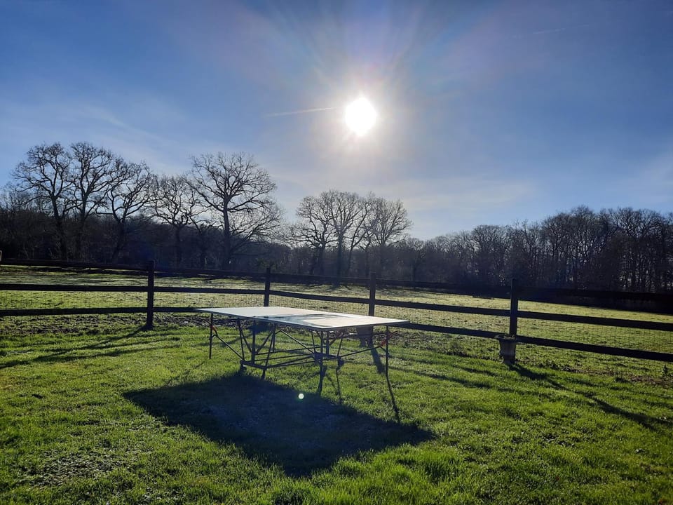 La Martine Petfriendly House in Normandy
