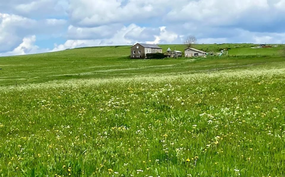 La Chapelle de Valogeon Apartment in Auvergne-Rhône-Alpes