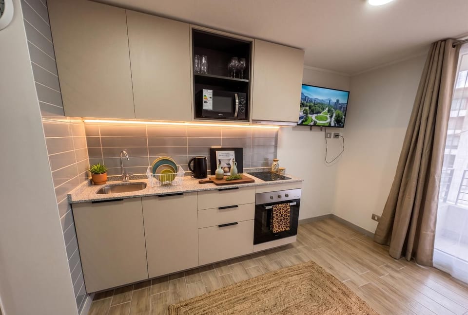 Zona Centro I Studio I Movistar Arena Apartment in Santiago