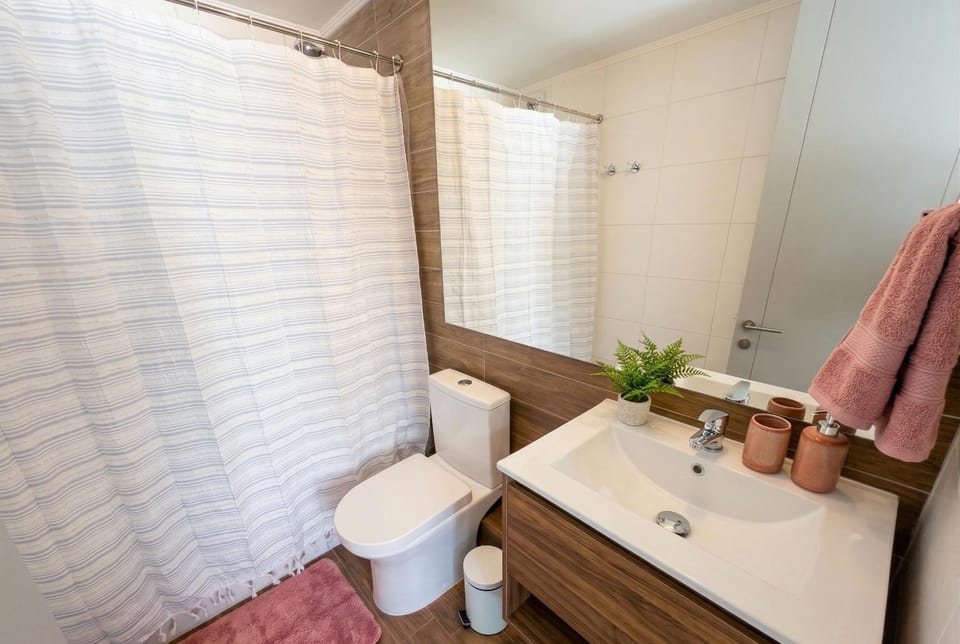 Zona Centro I Movistar Arena I 1H1B Apartment in Santiago