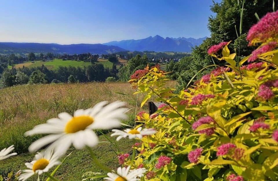 Spring, Day, Natural landscape, Summer, Garden, Garden view, Mountain view