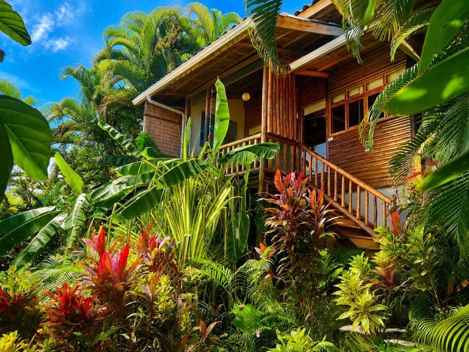 Natural landscape, Garden