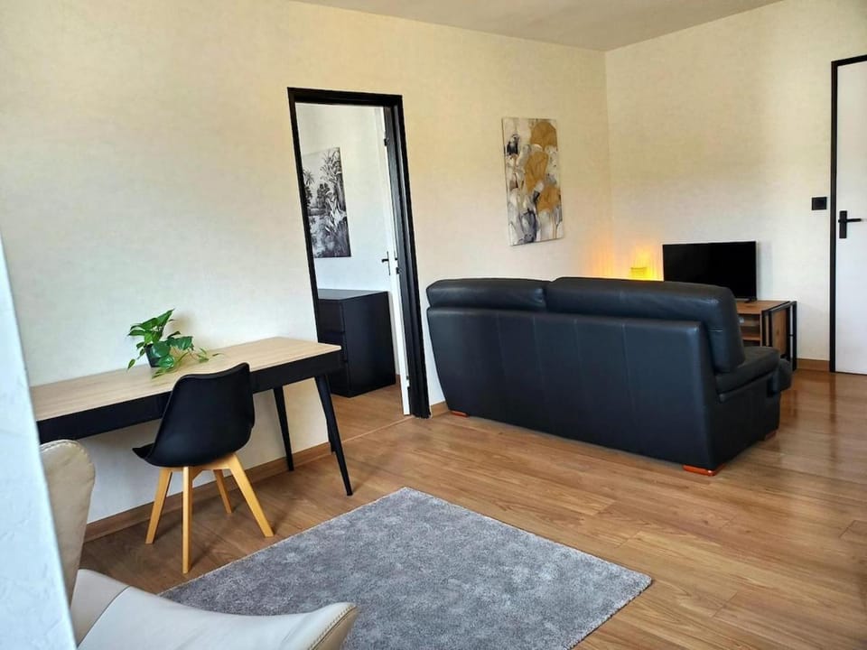 Le Moderne Chic - Clermont-Ferrand Apartment in Clermont-Ferrand