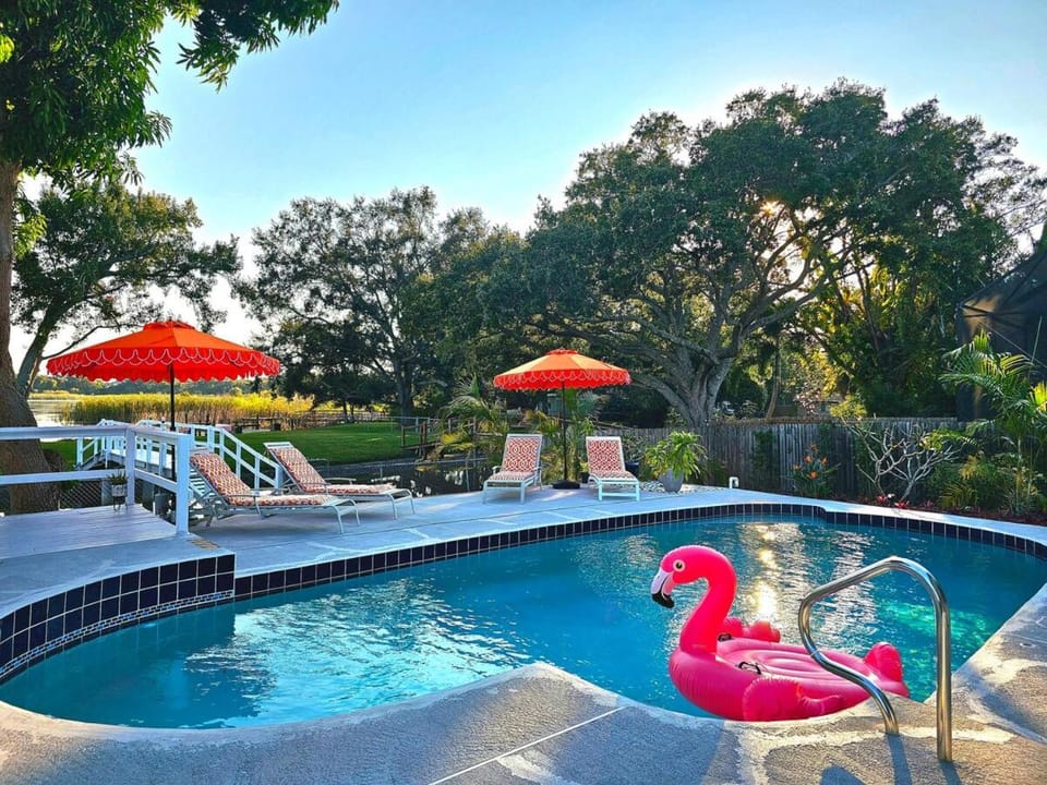 Day, Garden, Pool view, Swimming pool, Swimming pool