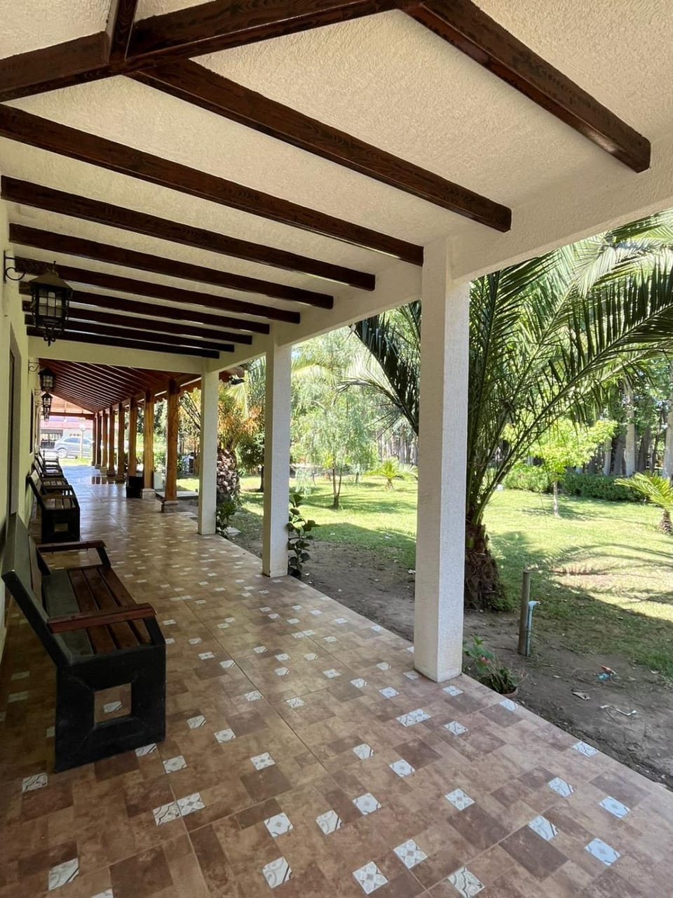 Garden view