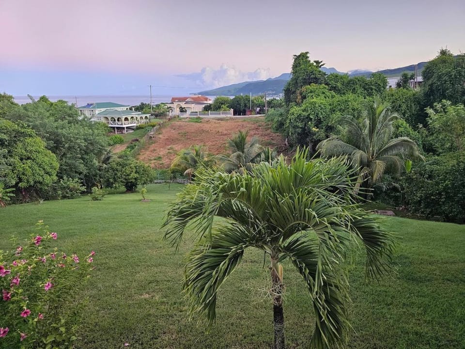 Natural landscape, Garden, Garden view, Mountain view