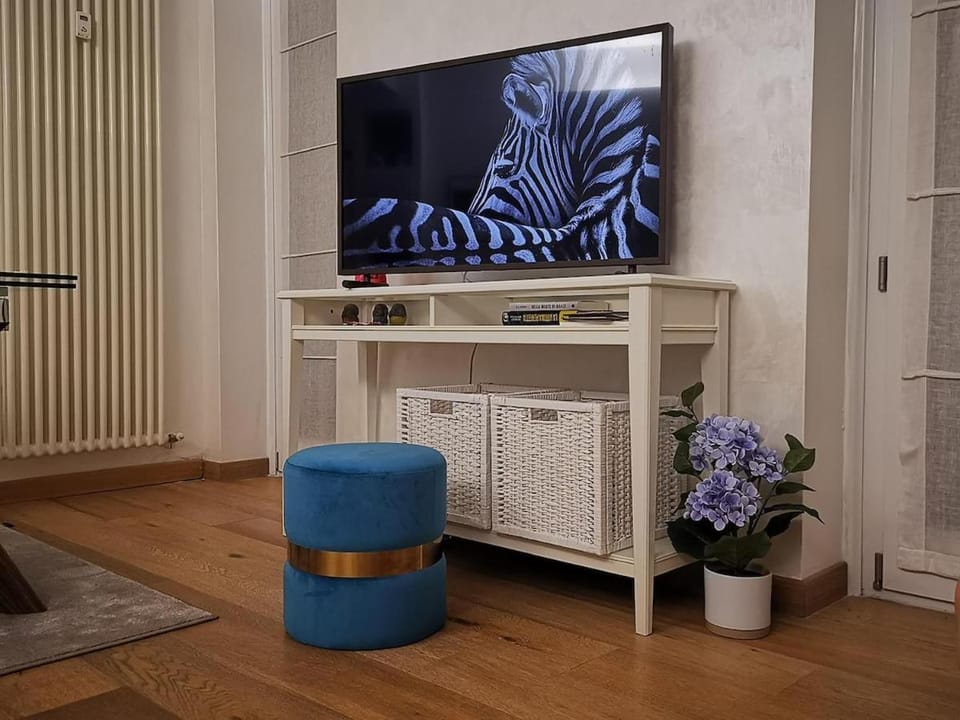 Communal lounge/ TV room, TV and multimedia