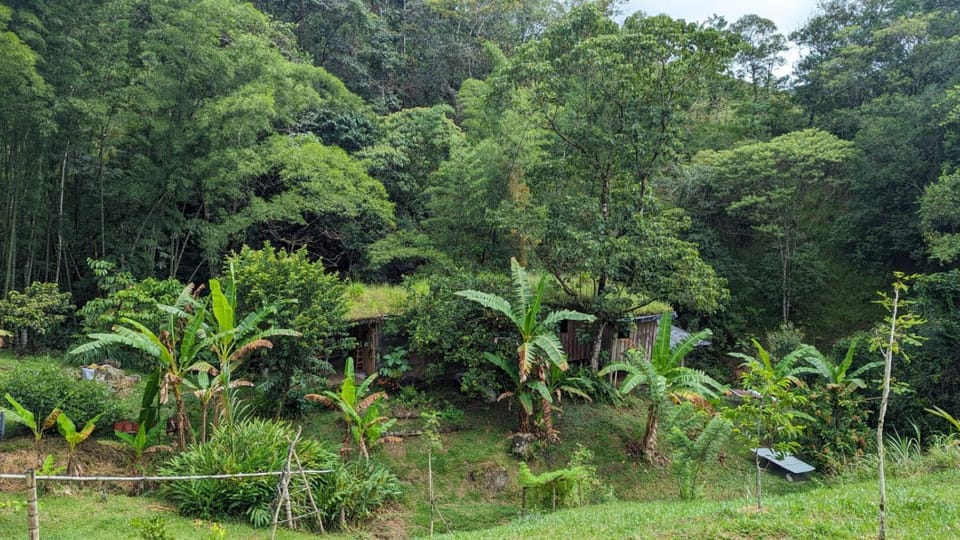 Familia Verde Eco Hostal Bed and Breakfast in Antioquia