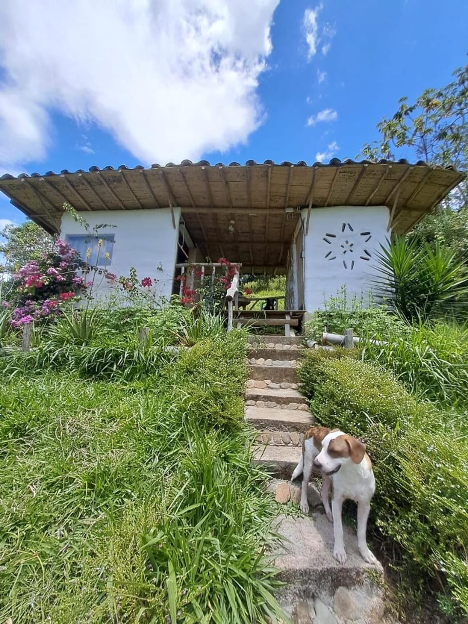 Familia Verde Eco Hostal Bed and Breakfast in Antioquia