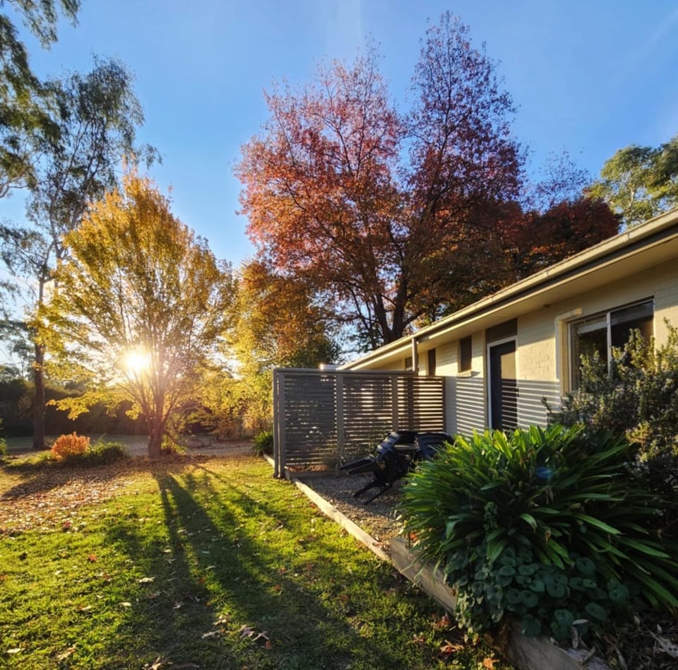 Natural landscape, Garden view