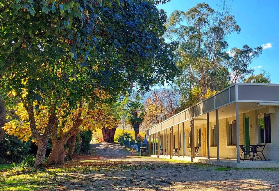 Property building, Patio