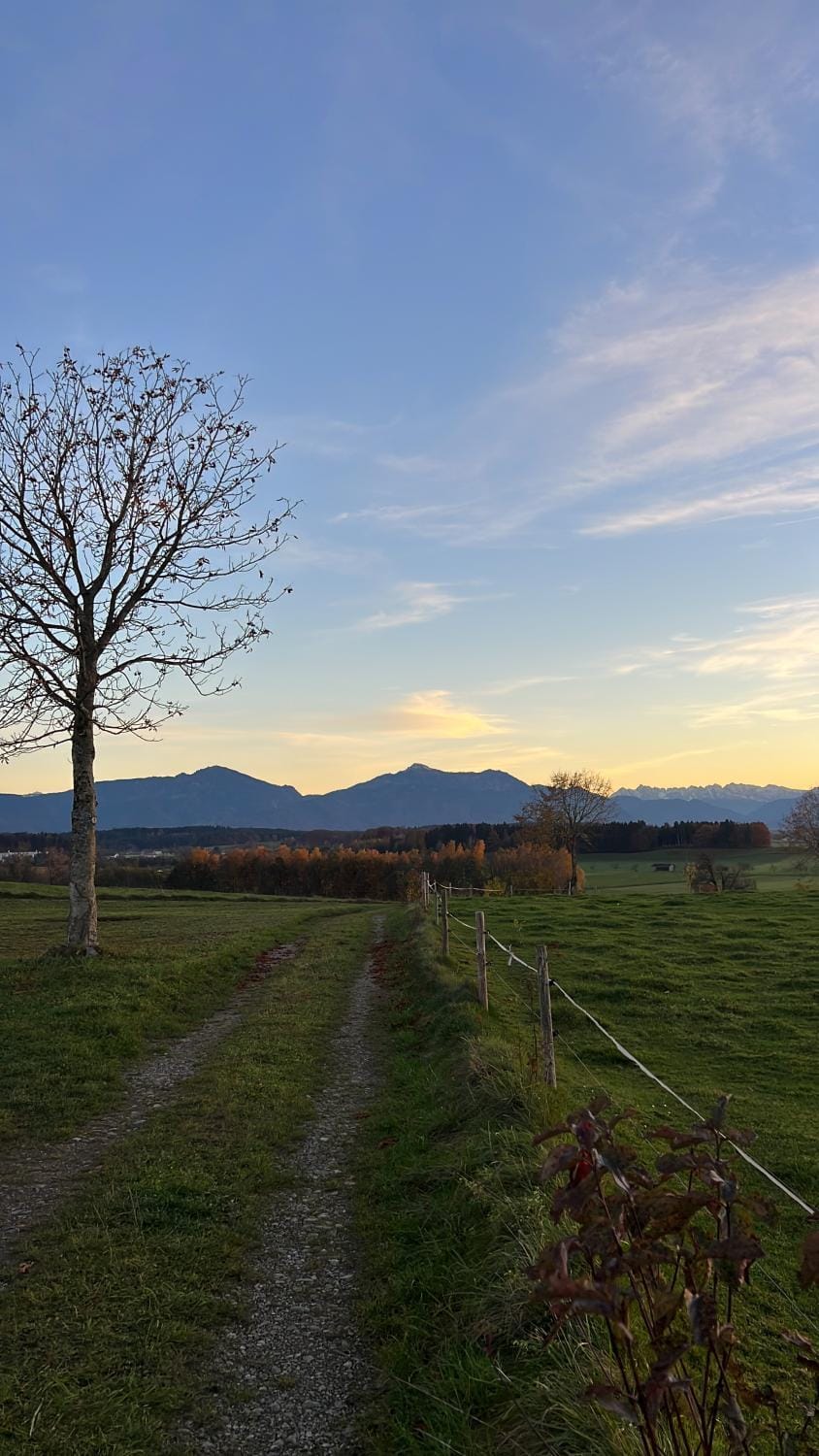 Natural landscape