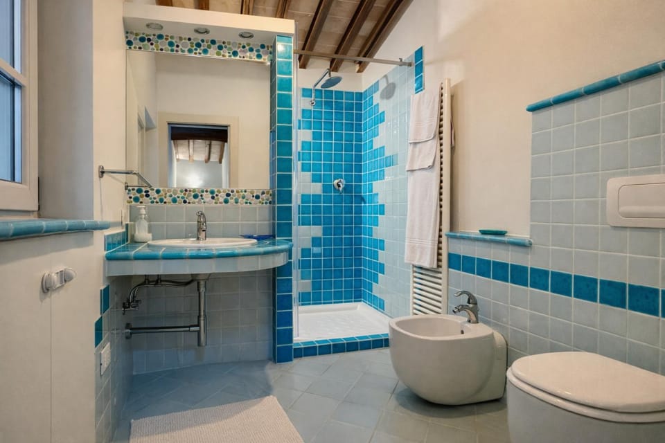 Shower, Toilet, Bathroom, bidet, towels
