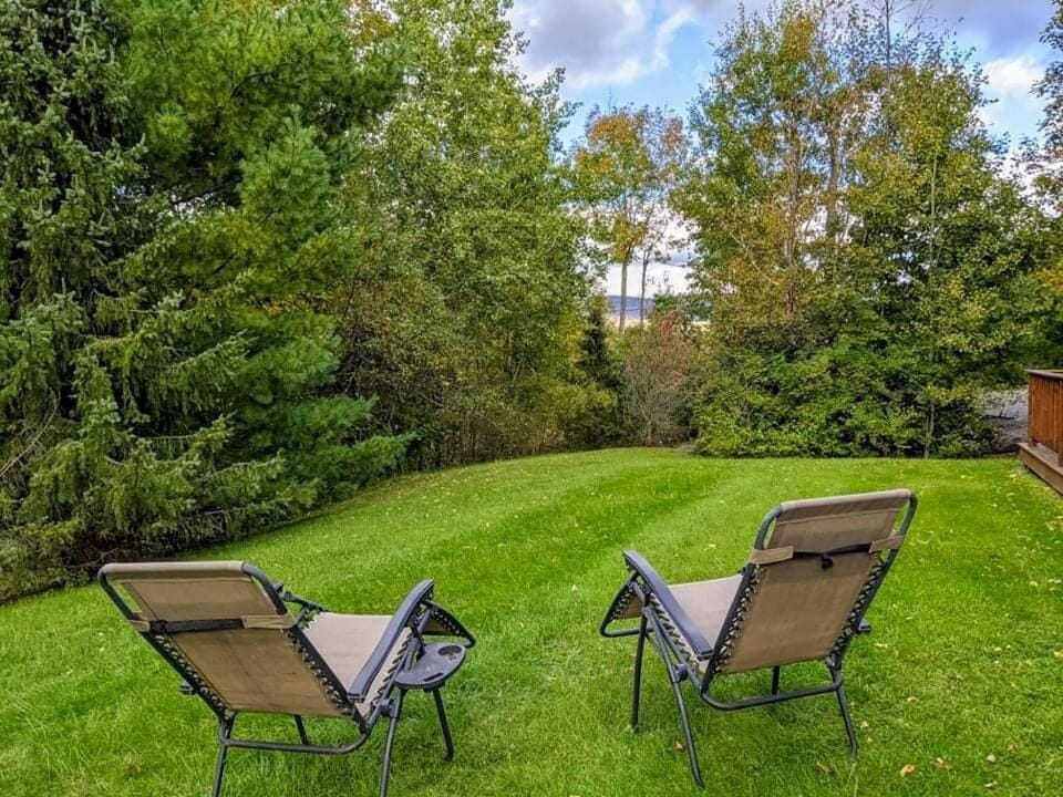 Natural landscape, Garden, sunbed