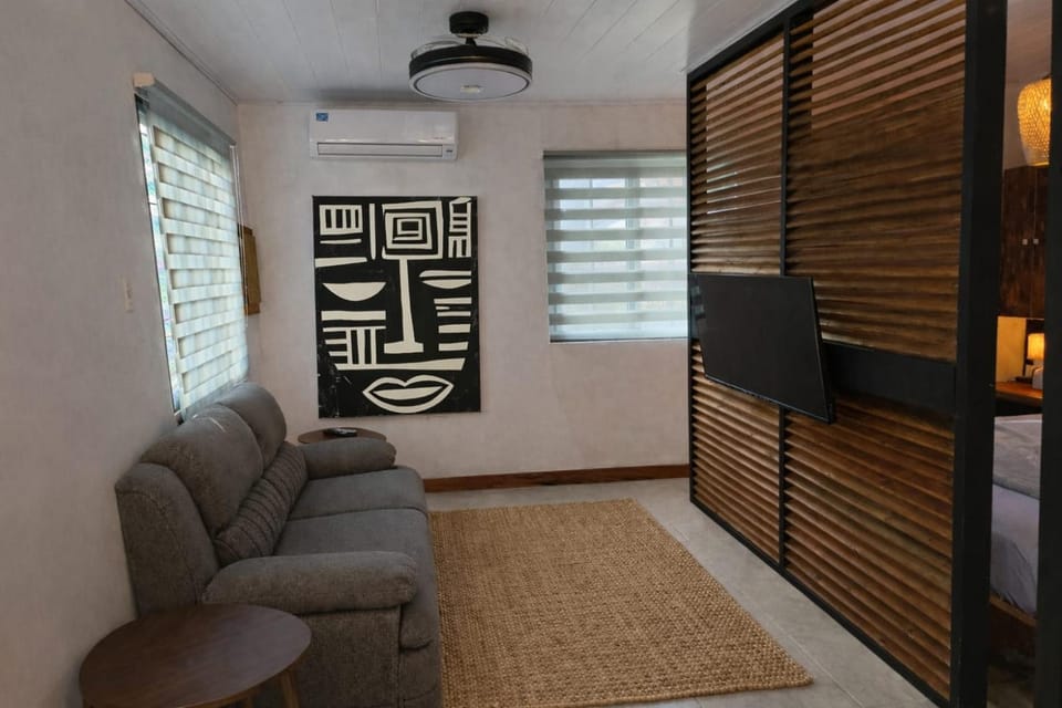 TV and multimedia, Living room, Seating area, air conditioner