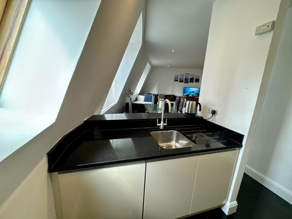 Spacious Vauxhall Apartments for big groups Apartment in City of Westminster
