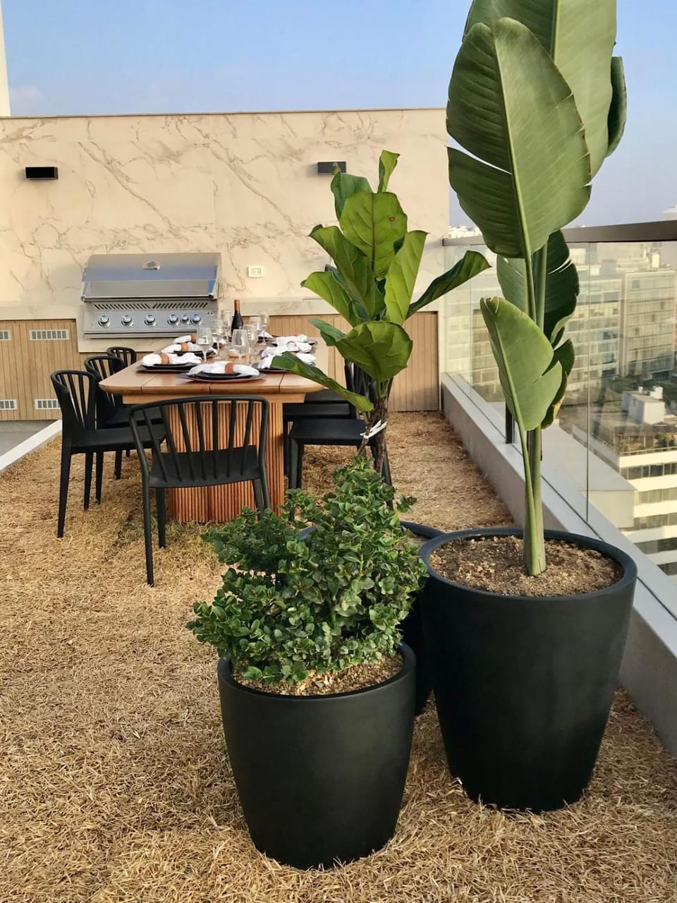 Lounge or bar, Area and facilities