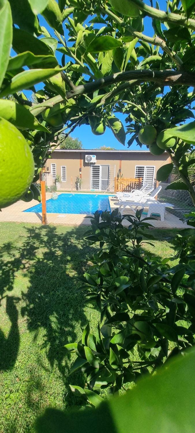 Day, Garden view, Pool view, Swimming pool