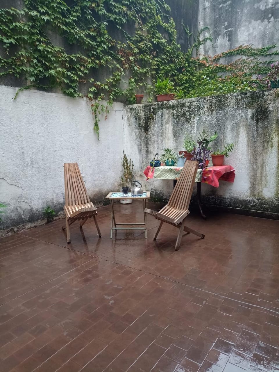 Patio, Garden