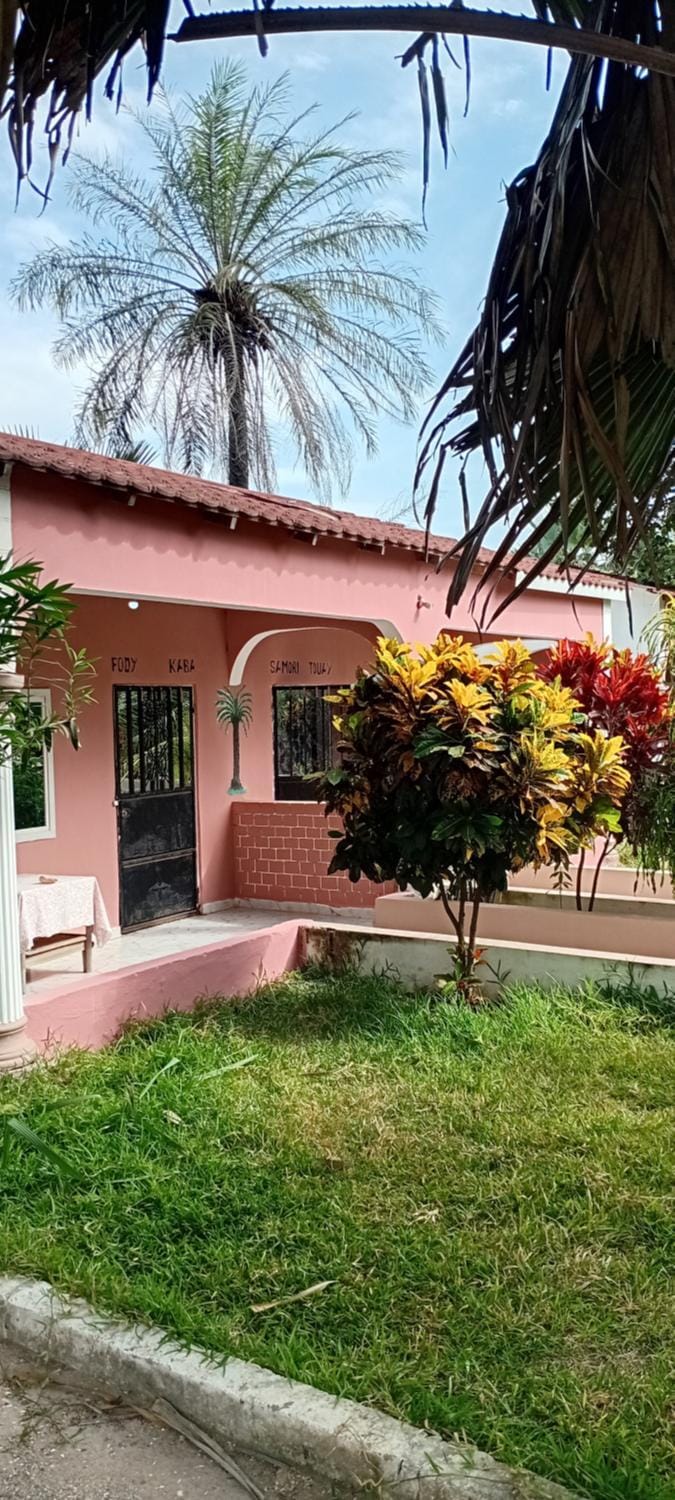 Property building, Garden, Garden view