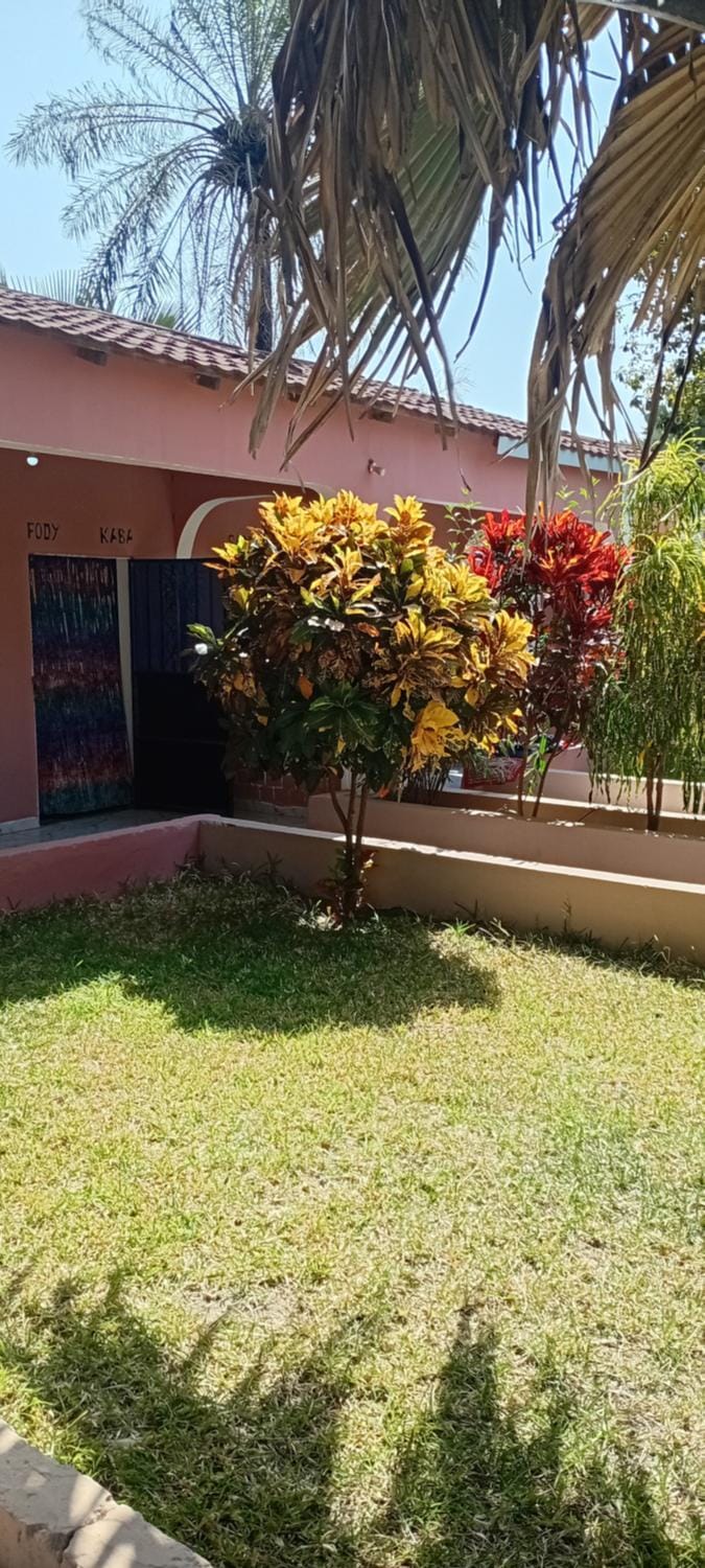 Garden view