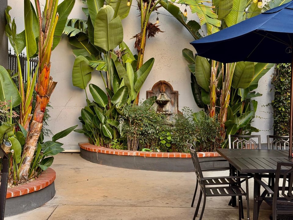 Property building, Day, Garden, Garden
