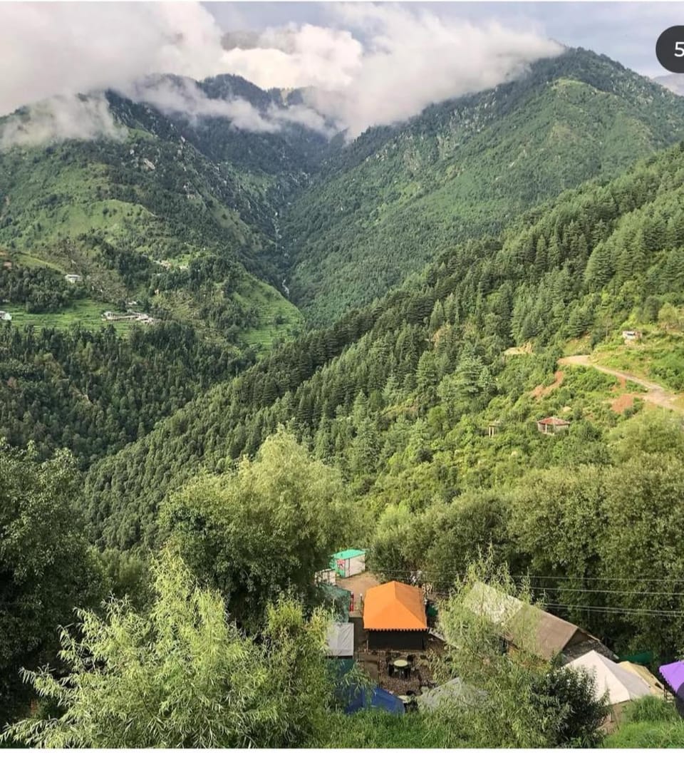 Dhauladhar Mountain Bliss Home Naddi Dharmshala Apartment in Himachal Pradesh