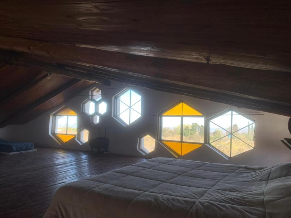 Bed, Garden view