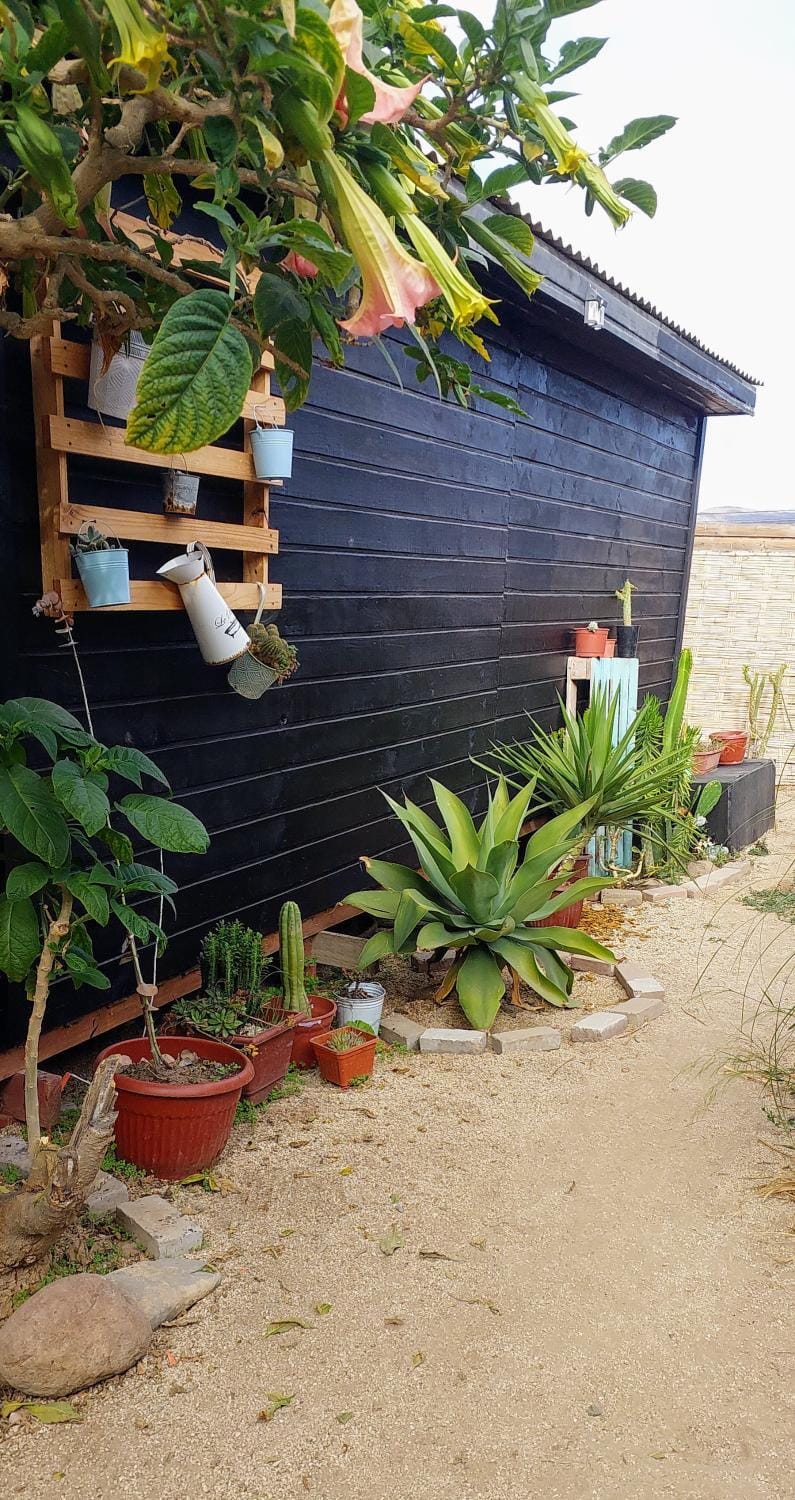 Cabaña Chango Apartment in Coquimbo