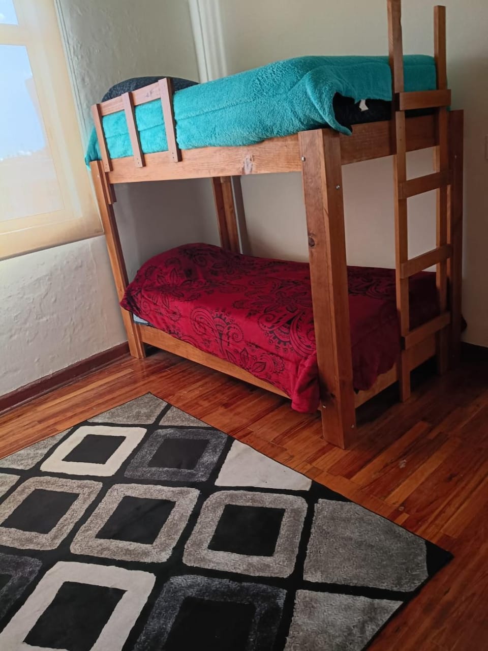 Roma Sur Comodo departamento completo Apartment in Mexico City