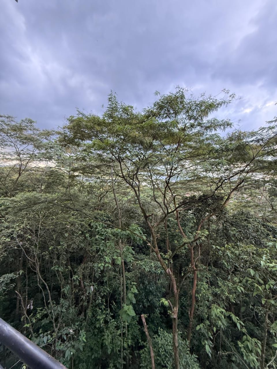 Natural landscape
