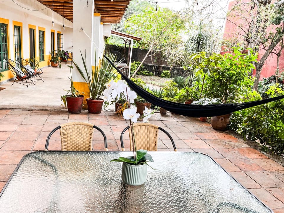 Patio, Spring, Garden, Living room, Garden view